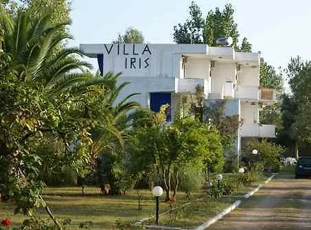 Iris * أورموس باناجياس