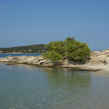 Iris * Órmosz Panajász